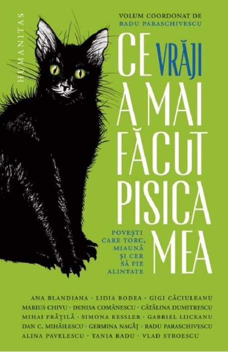CE VRAJI A MAI FACUT PISICA MEA