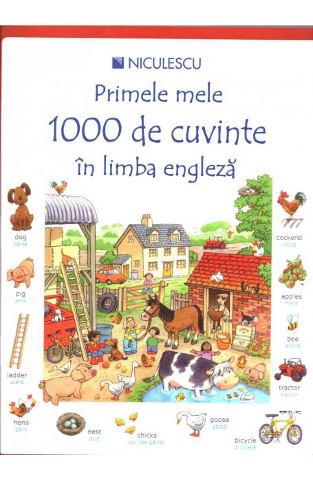 PRIMELE 1000 DE CUVINTE IN LIMBA ENGLEZA
