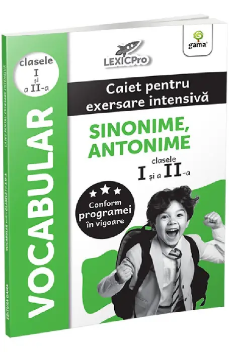 VOCABULAR SINONIME SI ANTONIME - CLASELE I SI II/LEXICPRO