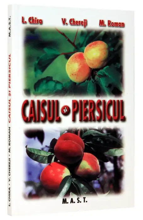 CAISUL SI PIERSICUL MAST