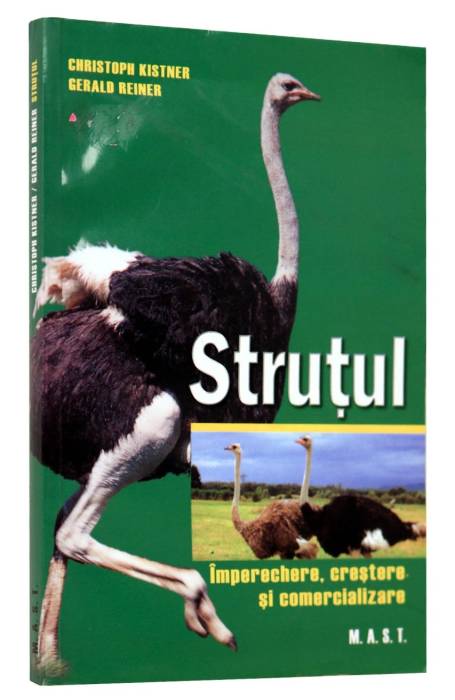 STRUTUL MAST