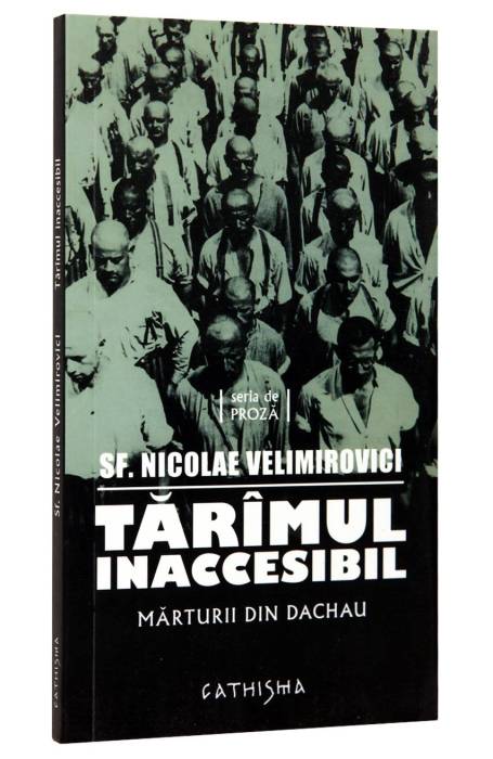 TARAMUL INACCESIBIL
