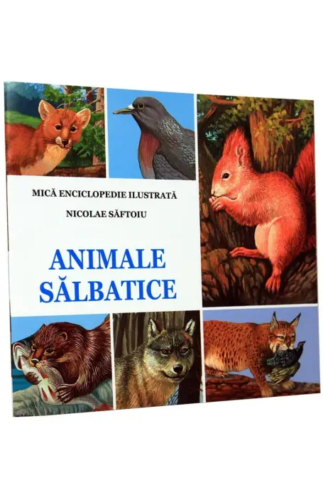 ANIMALE SALBATICE MICA ENC FLAMINGO