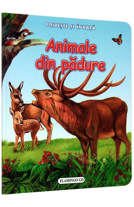 ANIMALE DIN PADURE PRIVESTE FLAMINGO