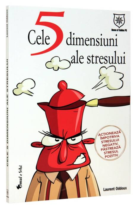 CELE 5 DIMENSIUNI ALE STRESULUI