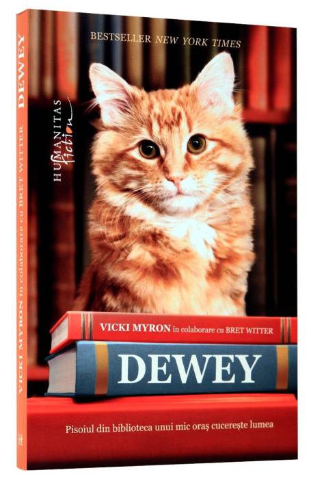 DEWEY, PISOIUL DIN BIBLIOTECA