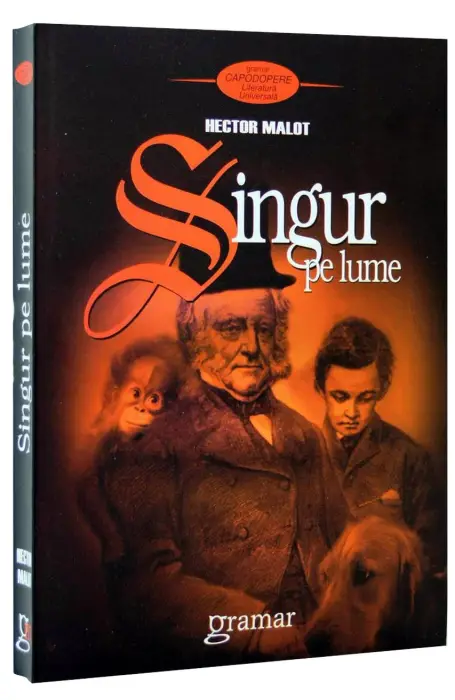 SINGUR PE LUME