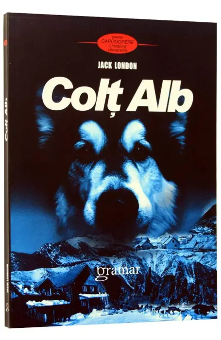 COLT ALB GRAMAR