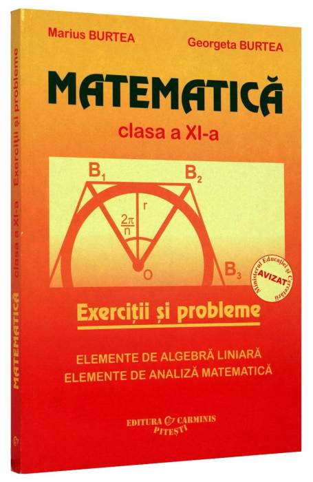 MATEMATICA 11 BURTEA EXERCITII SI PB