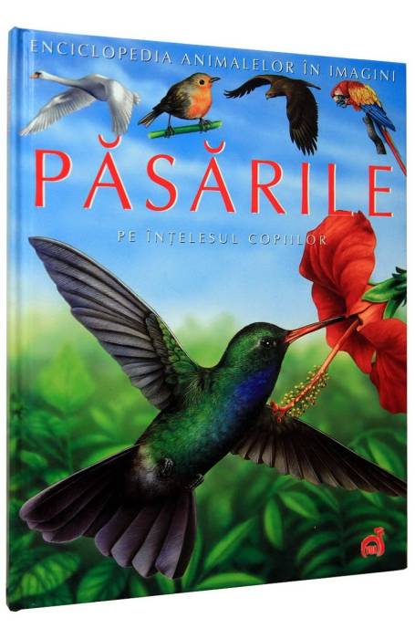 PASARILE VOX