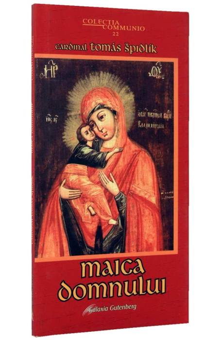 MAICA DOMNULUI