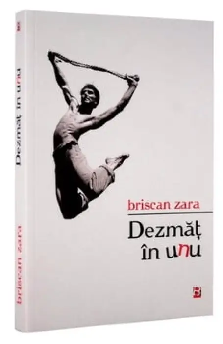 DEZMAT IN UNU