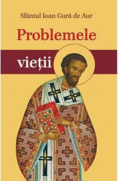 PROBLEMELE VIETII
