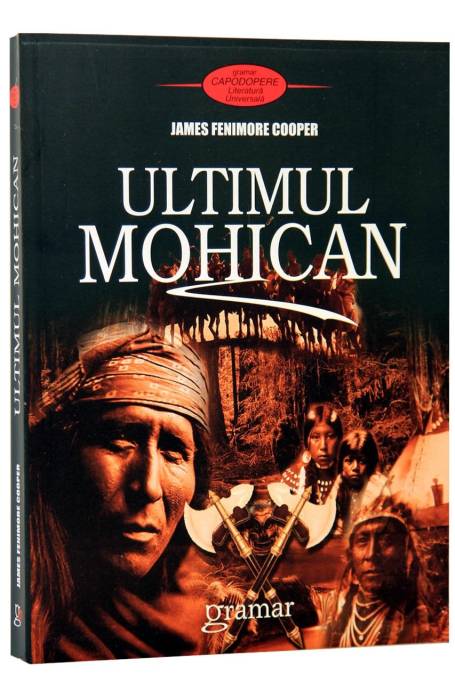 ULTIMUL MOHICAN GRAMAR