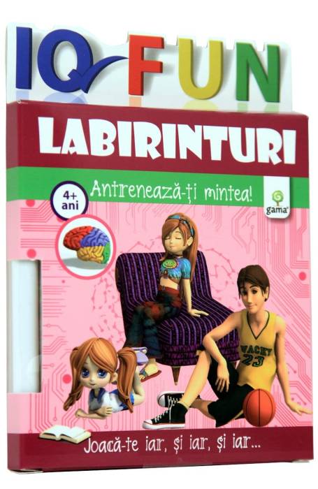 LABIRINTURI IQ FUN 4 ANI