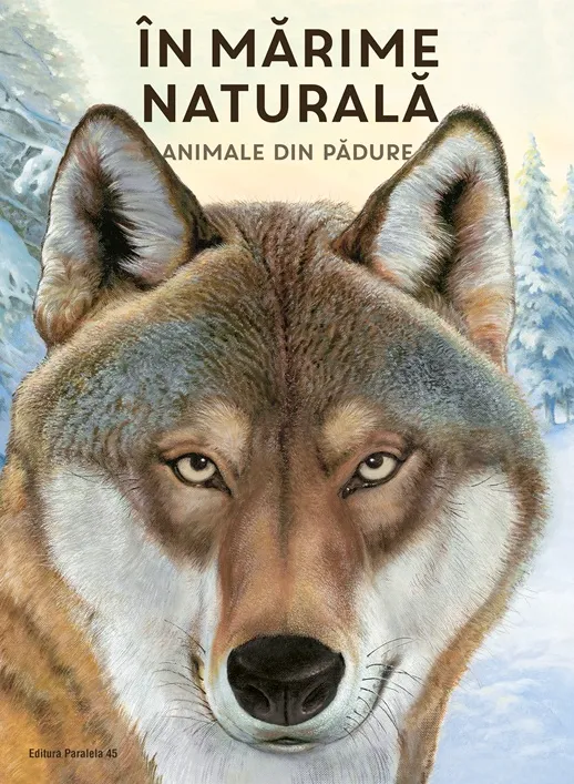 In Marime Naturala - Animale din Padure P45