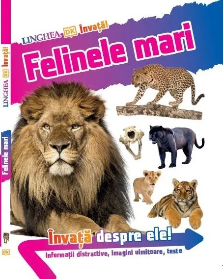 Invata! Felinele Mari