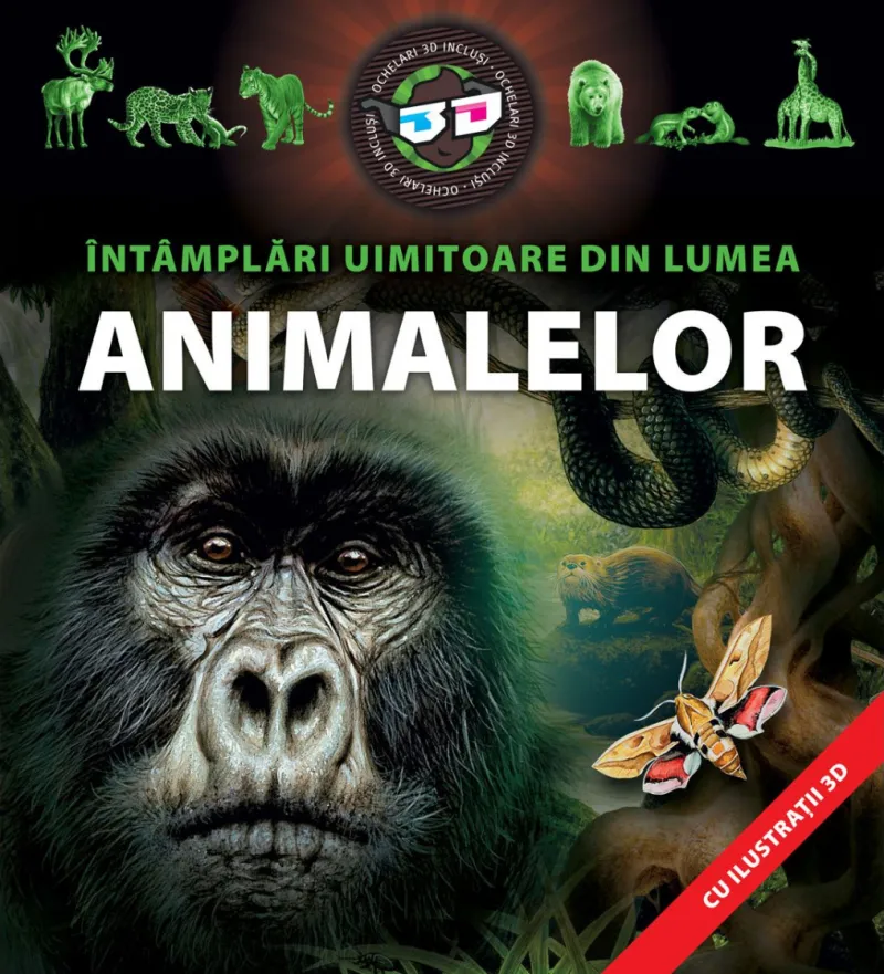 Animale 3D Kreativ
