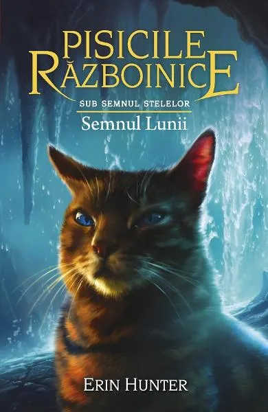Pisicile Razboinice 22 sub Semnul Stelelor - Semnul Lunii