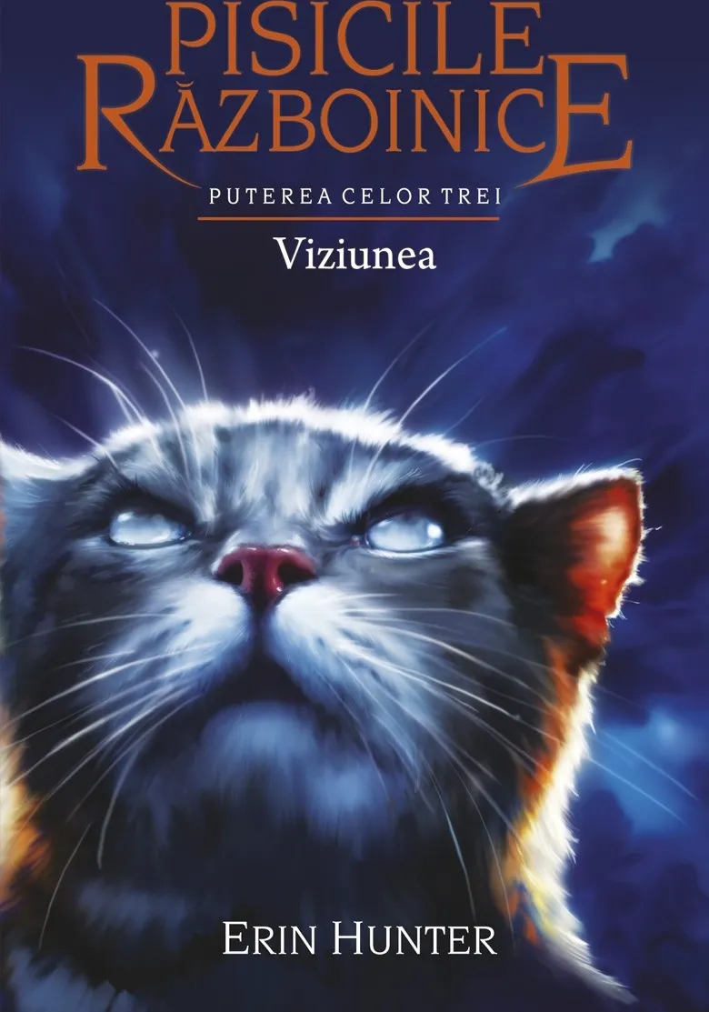 Pisicile Razboinice Vol 13 Puterea Celor Trei Viziunea