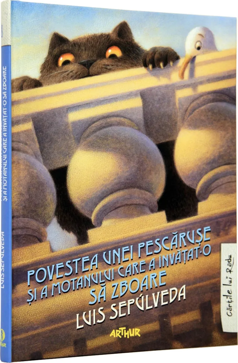 Povestea Unei Pescaruse (Cartile lui Radu) Ed 2025