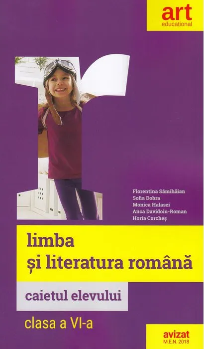 Romana 6 Caiet Art