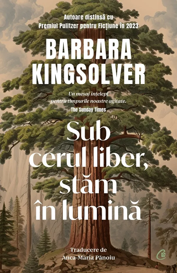 Sub Cerul Liber, Stam in Lumina CV