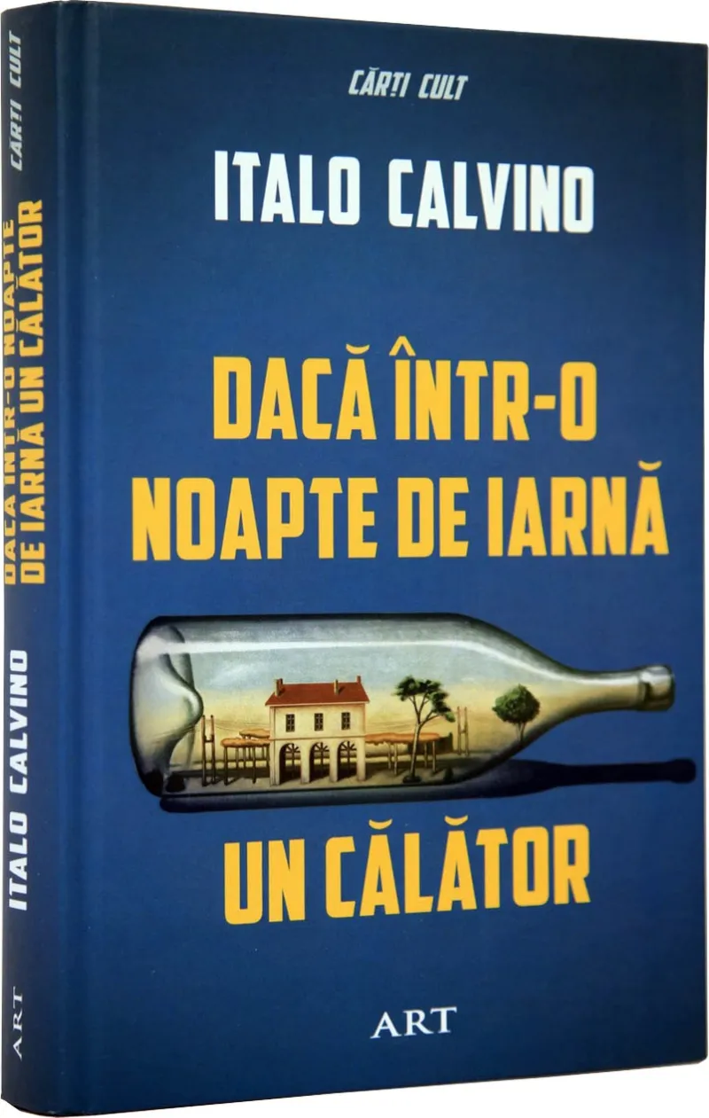 Daca Intr-O Noapte de Iarna Art