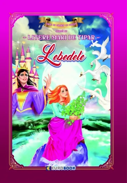 Inv Lebedele Litere Mari Eurobook B5