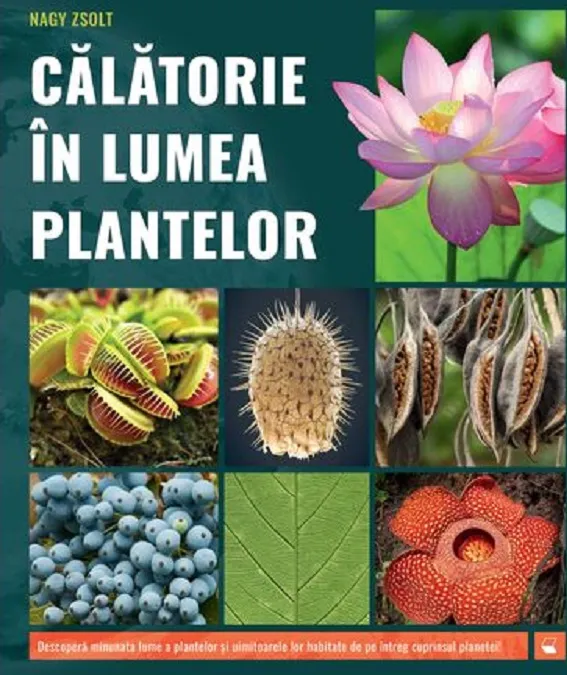 Calatorie in Lumea Plantelor Kreativ