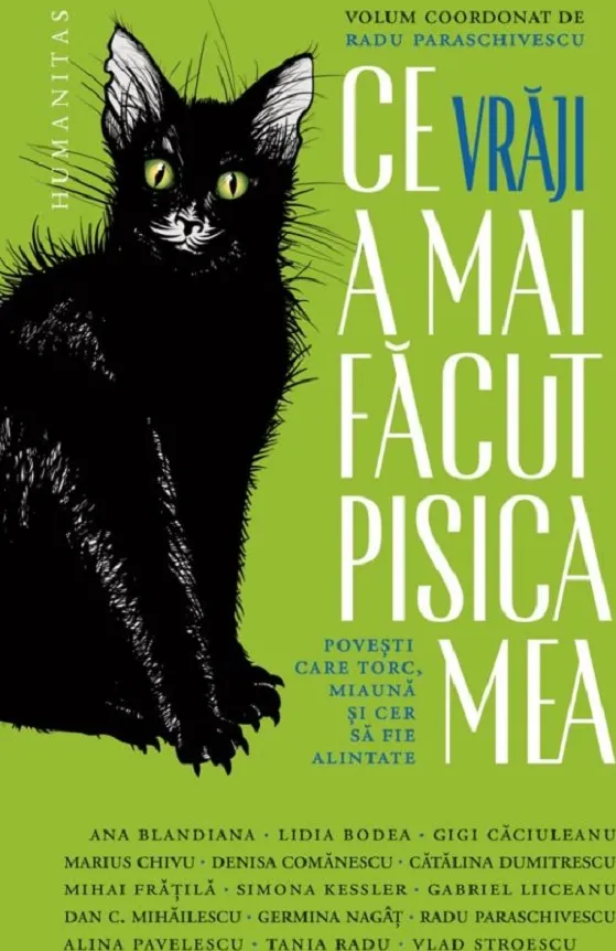 Ce Vraji a mai Facut Pisica Mea