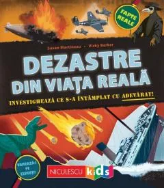 Dezastre din Viata Reala
